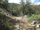 photo thumbnail #13