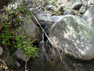 photo thumbnail #15