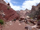 photo thumbnail #8