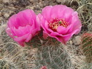 photo thumbnail #14