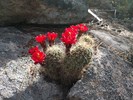 photo thumbnail #4