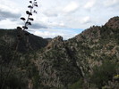 photo thumbnail #9