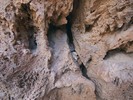 photo thumbnail #14
