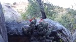 photo thumbnail #9