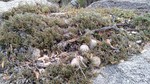 photo thumbnail #12