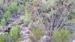 photo thumbnail #13