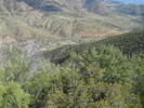photo thumbnail #9