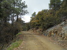 photo thumbnail #13