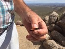 photo thumbnail #3