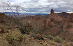 photo thumbnail #8