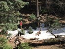 photo thumbnail #9