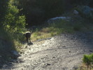 photo thumbnail #7