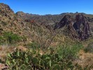 photo thumbnail #13