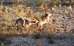 photo thumbnail #9