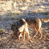 photo thumbnail #12