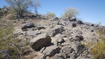 photo thumbnail #5