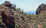 photo thumbnail #4