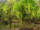 photo thumbnail #11