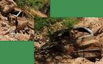 photo thumbnail #1