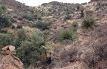 photo thumbnail #8