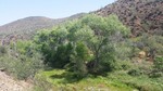 photo thumbnail #14