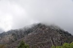 photo thumbnail #13