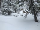 photo thumbnail #7