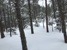 photo thumbnail #10