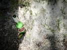 photo thumbnail #15