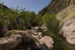 photo thumbnail #7