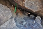 photo thumbnail #10