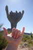 photo thumbnail #5