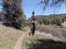 photo thumbnail #9