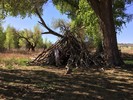 photo thumbnail #9