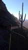 photo thumbnail #2
