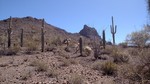photo thumbnail #5