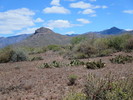 photo thumbnail #6