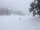 photo thumbnail #3