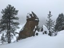 photo thumbnail #4