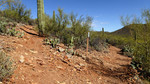 photo thumbnail #6