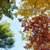 photo thumbnail #1
