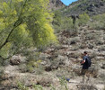 photo thumbnail #3