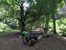 photo thumbnail #5