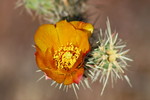 photo thumbnail #3