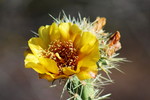 photo thumbnail #4