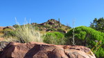 photo thumbnail #10