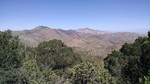 photo thumbnail #7