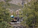 photo thumbnail #8