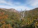 photo thumbnail #7