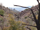 photo thumbnail #15